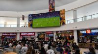 Cómo vivir el Mundial al máximo: recomendaciones para disfrutar el fútbol en comunidad