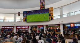 Cómo vivir el Mundial al máximo: recomendaciones para disfrutar el fútbol en comunidad