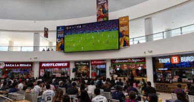 Cómo vivir el Mundial al máximo: recomendaciones para disfrutar el fútbol en comunidad