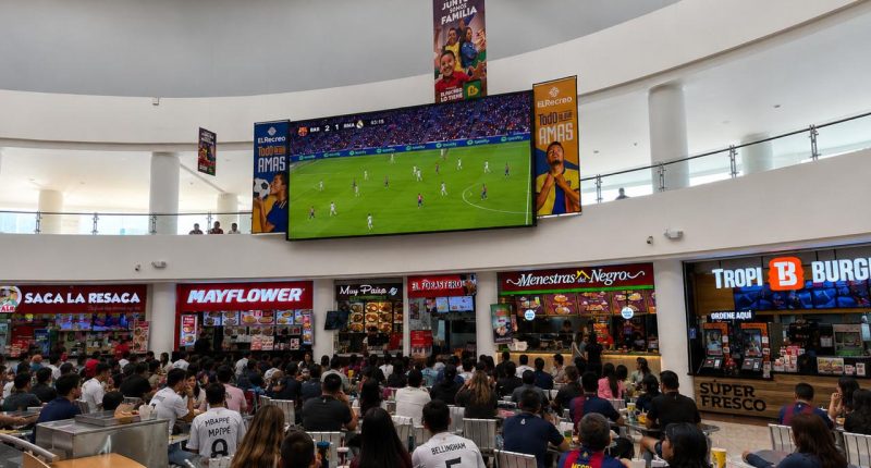 Cómo vivir el Mundial al máximo: recomendaciones para disfrutar el fútbol en comunidad