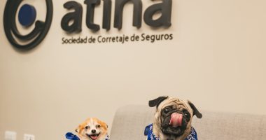 Atina revoluciona el corretaje de seguros en Venezuela combinando tecnología disruptiva y empatía humana