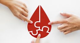 Donar sangre: El proceso biológico que oxigena y renueva tu salud