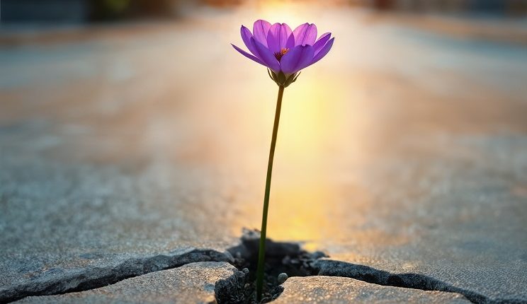 Cómo se reconstruye la confianza en un país que aprendió a desconfiar